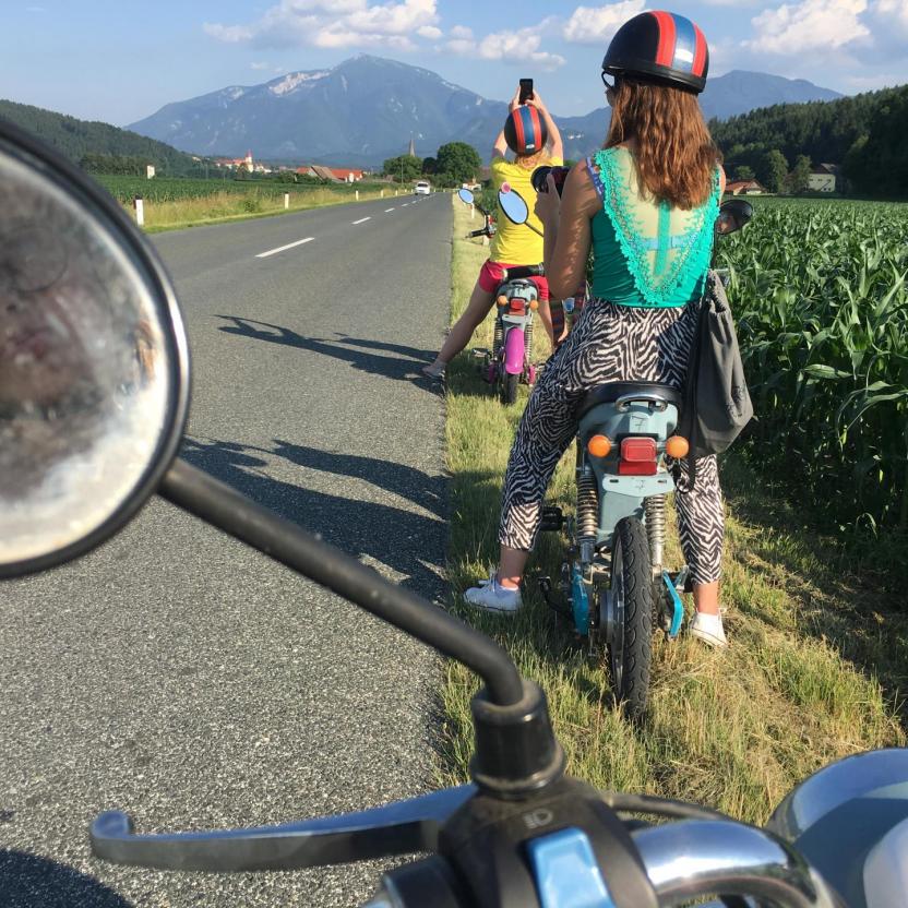Road Berries