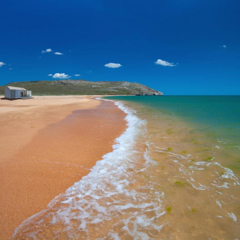 Blue Berry on the Beach