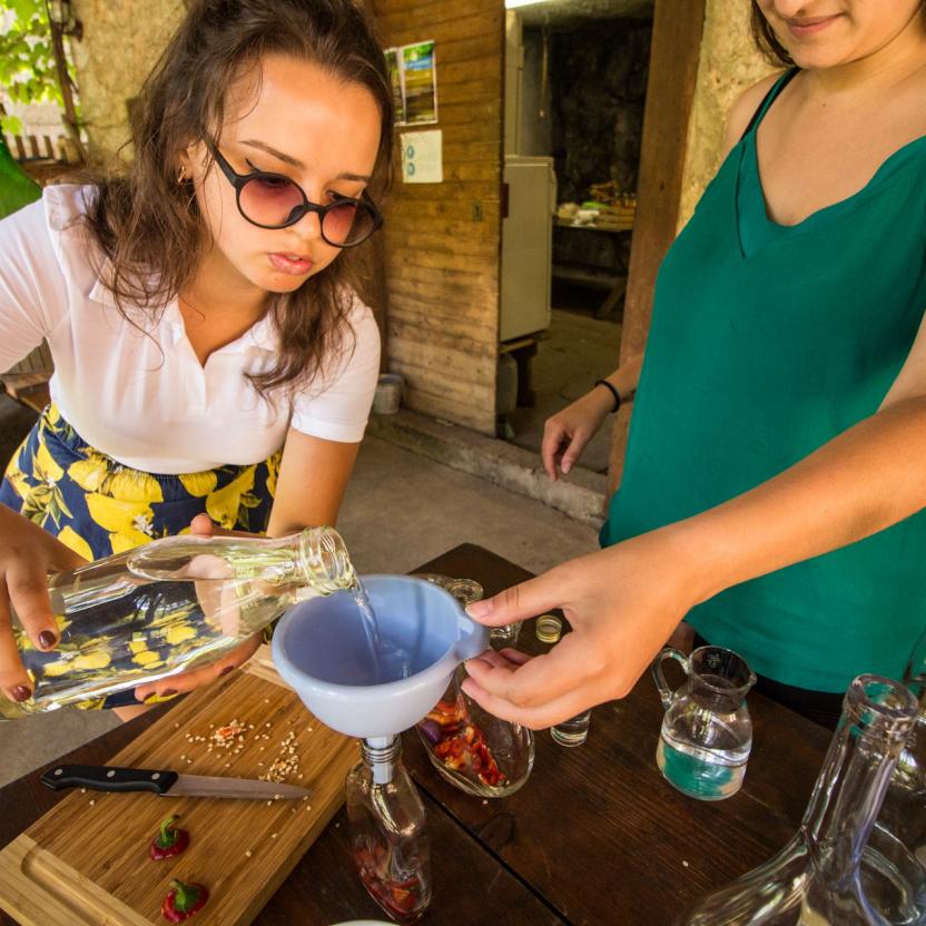 adopt an intern alisa domacija kuzma 4