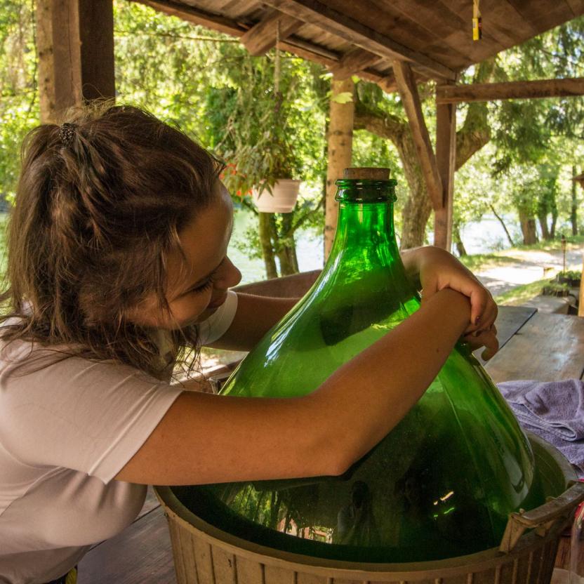 adopt an intern alisa domacija kuzma 7