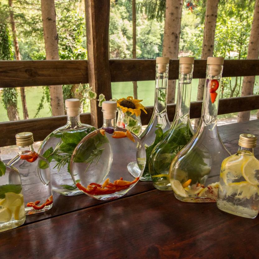 adopt an intern alisa domacija kuzma 8