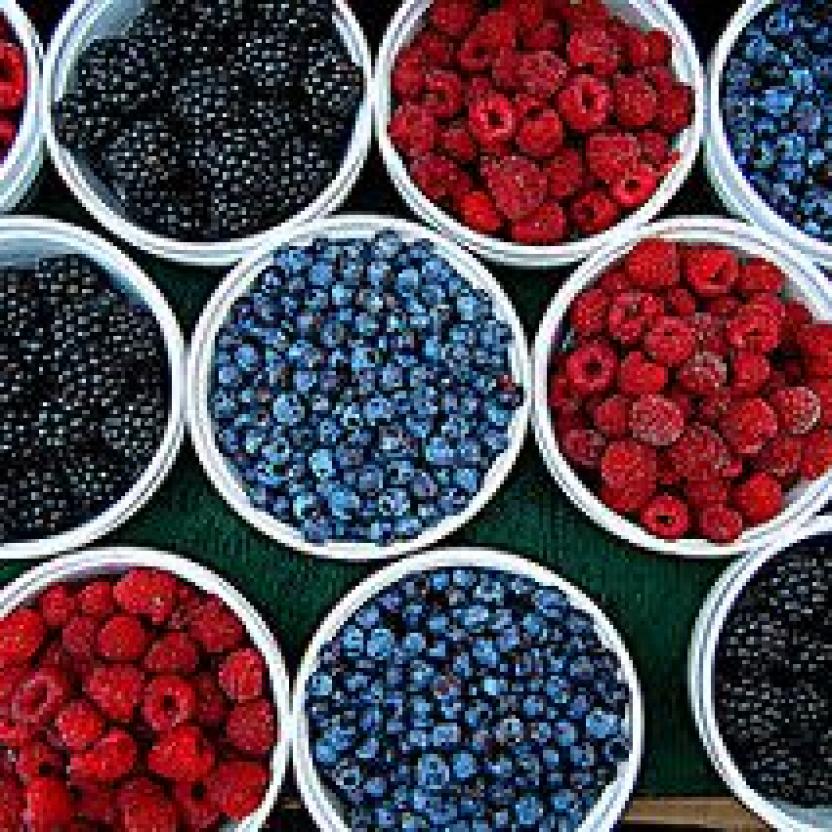 Berries Colour