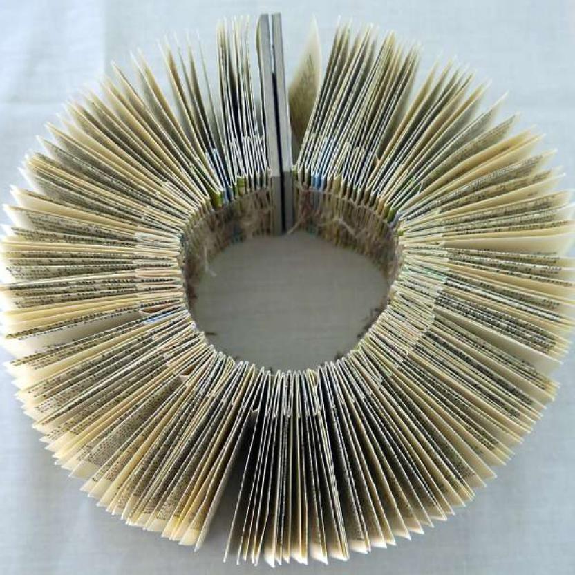 Facts Encyclopedia BIG BERRY Button