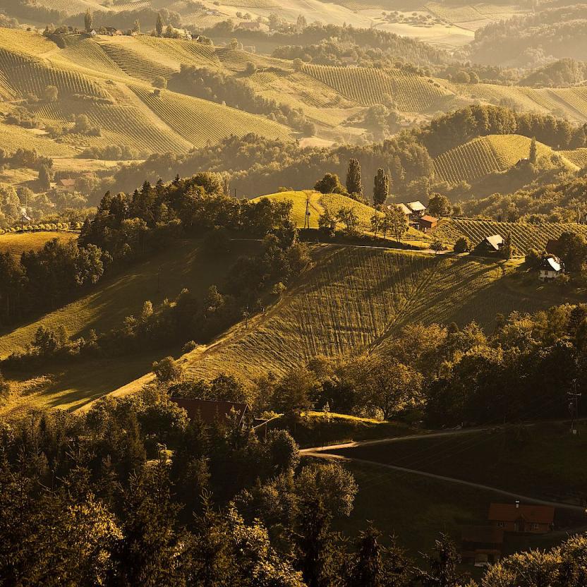 BIG BERRY Stories Wies The wine region of Wies