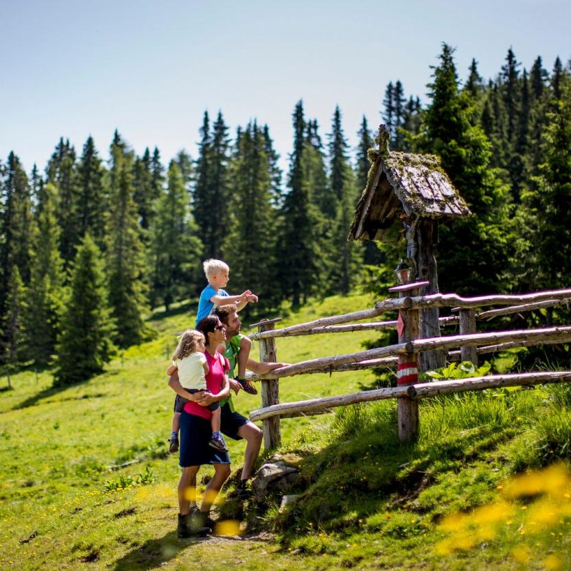 BIG BERRY Stories Wies a place for hikers