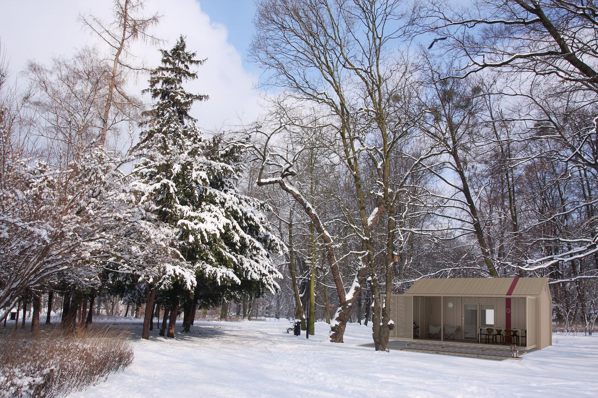 BB Brown Winter in the Municipal South Park in Wroclaw