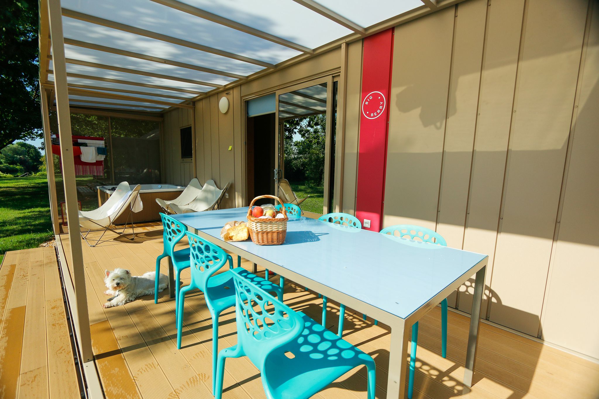 BIG BERRY exterior pet friendly