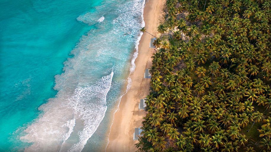 Blue BERRY Beach