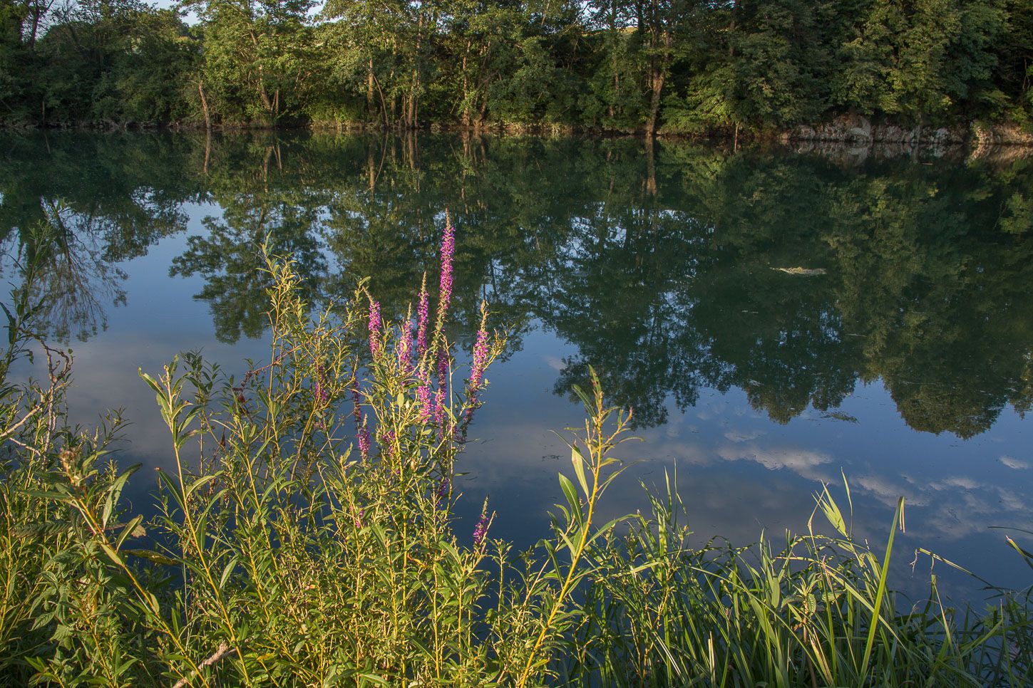 Kolpa river shore