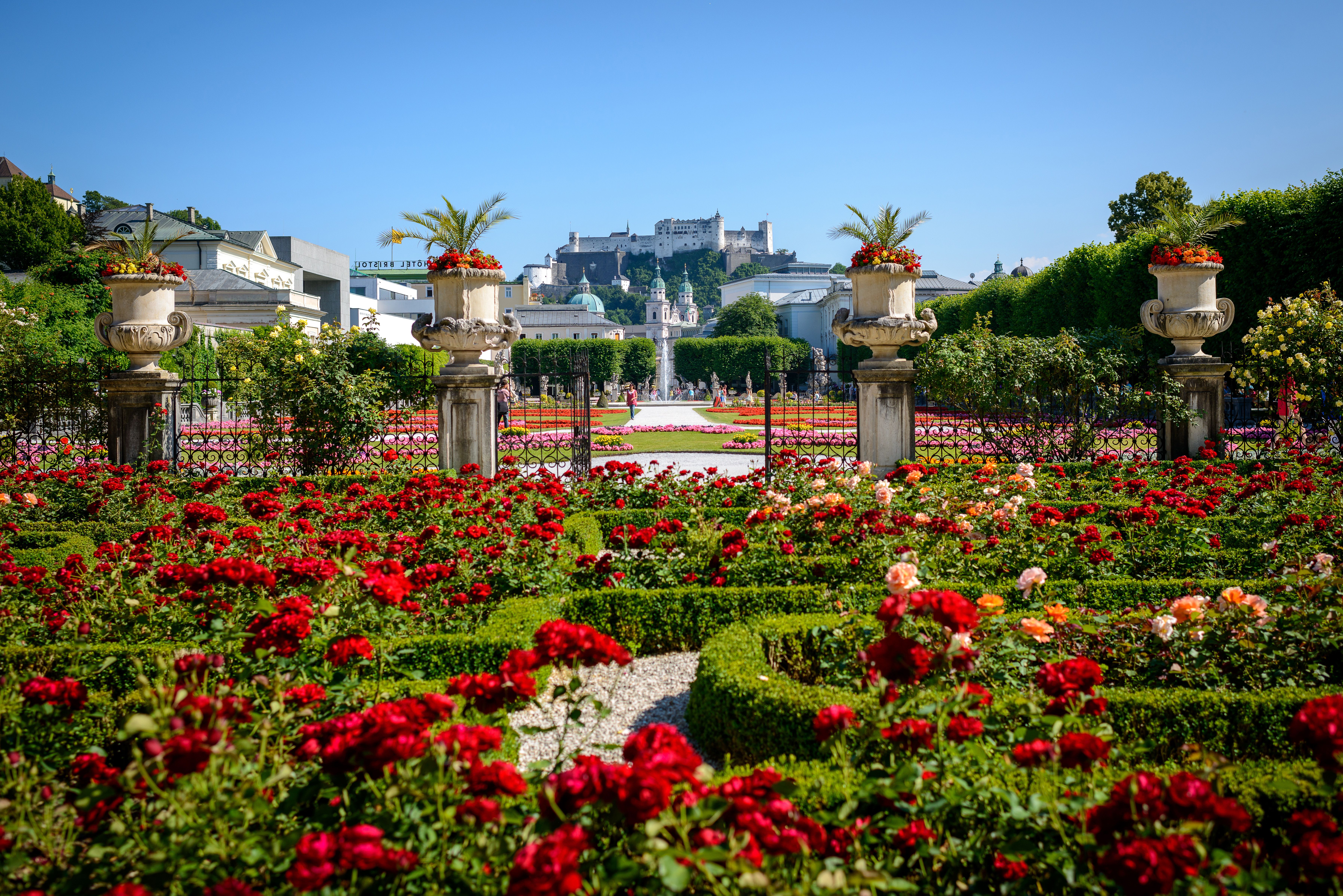 Mirabellgarten1