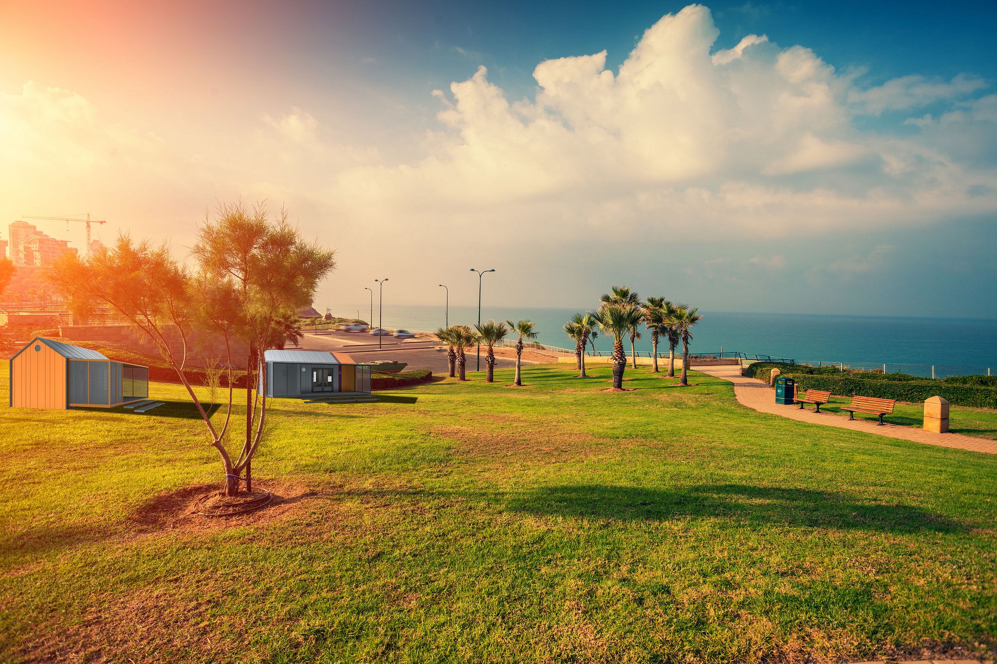 Orange BERRY Embankment of Netanya City In Israel