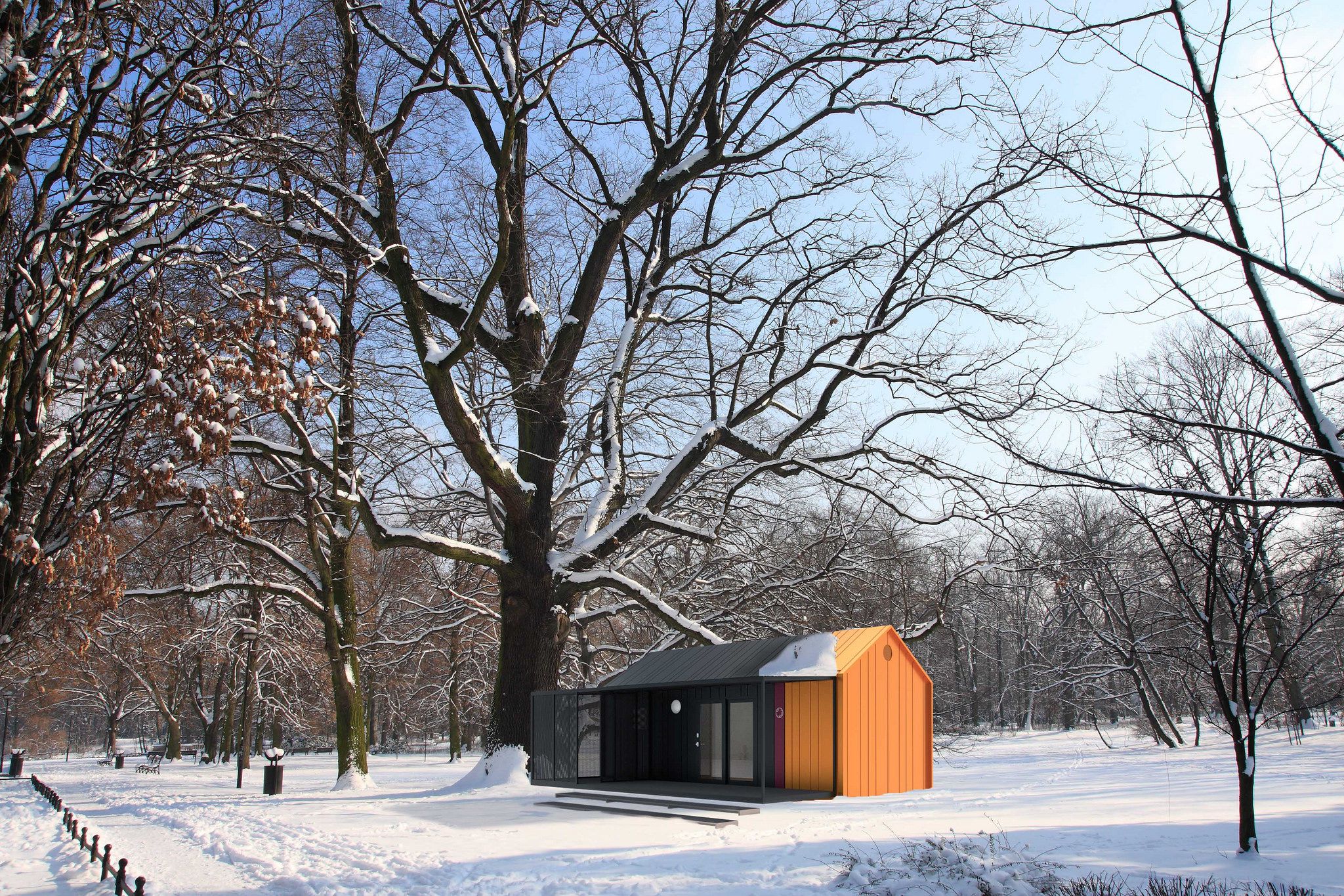 Orange BERRY Winter In The Municipal South Park in Wroclaw