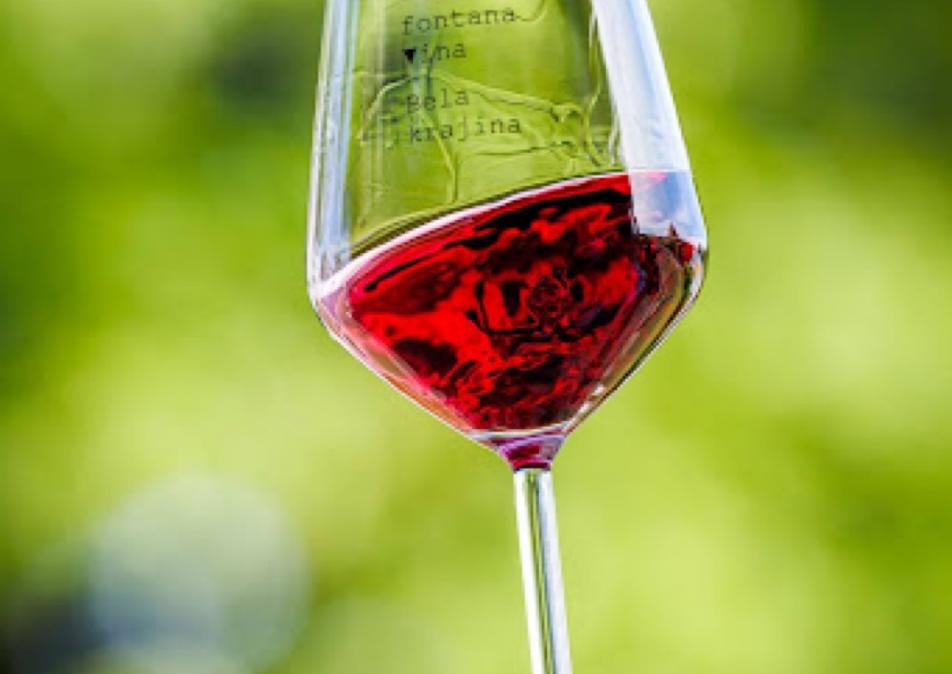 BB fontana vina bela krajina 1