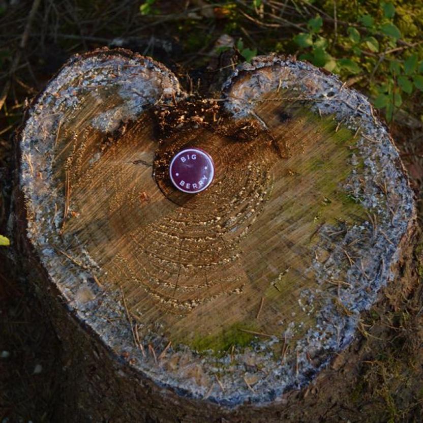 20228945 1331087060323147 5601941339764415464 n