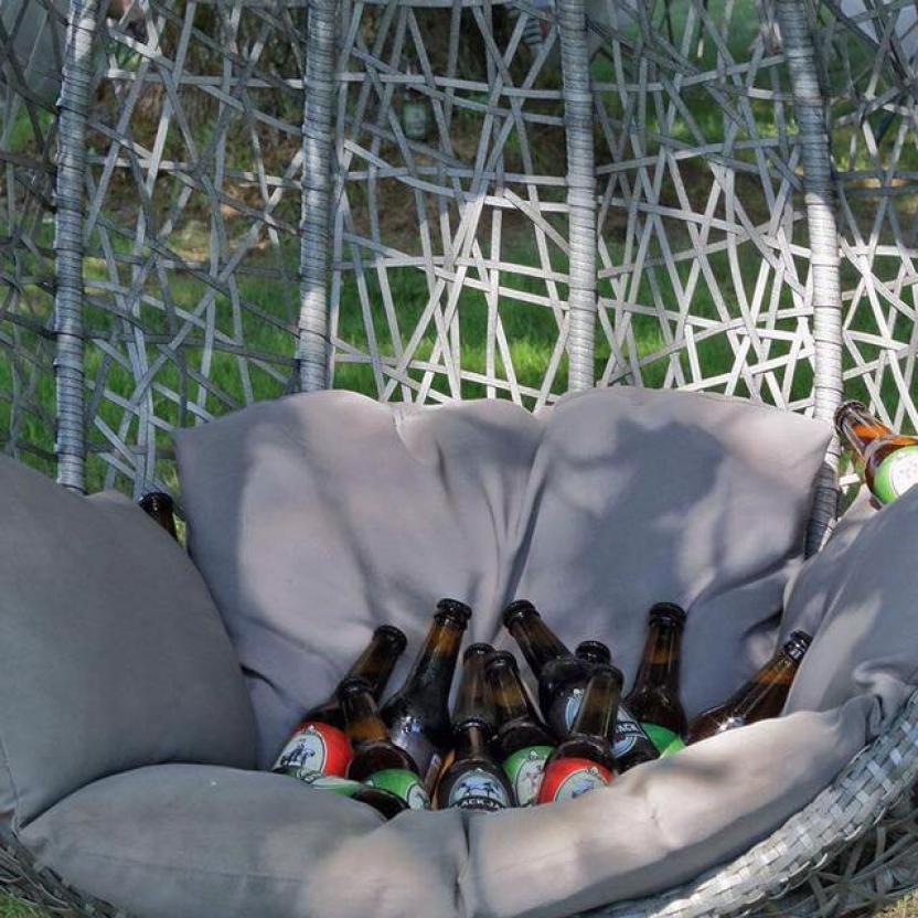 20604208 1343996132365573 2881159279827562280 n