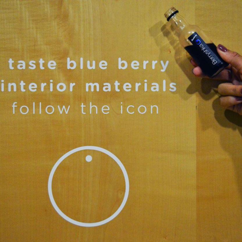 Berryshka at Blue Berry house
