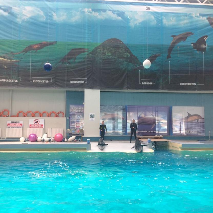 Dolphinarium Constanta