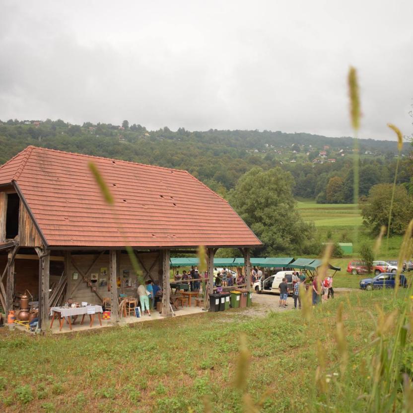 Visit to Garlic Festival - main
