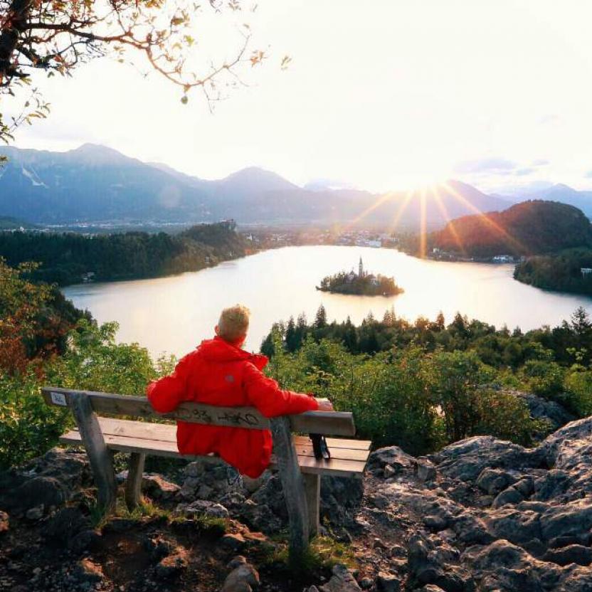 bled bench