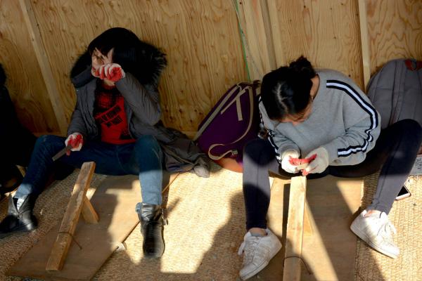 40299461331 81fa80112e k