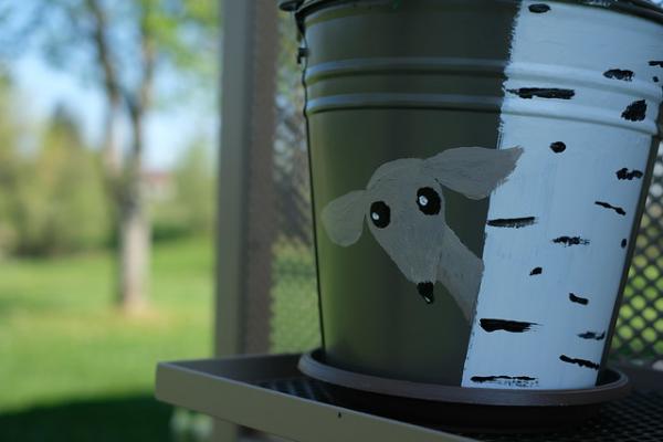 32709707017 6ab8e2e6da z